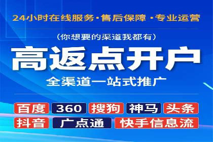 百度推广的投放策略与效果分析